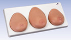L55: Breast Self Examination model, three single breasts on base