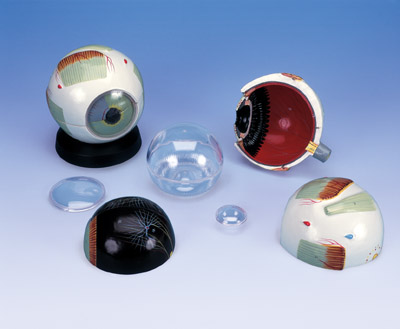 T12006: Eye, 6 times full-size, 6-part