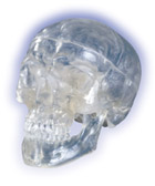 A20/T: Classic- Skull, transparent, 3-part