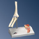 A87/1: Mini Elbow Joint, with cross section