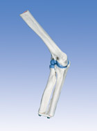 A87: Mini Elbow Joint